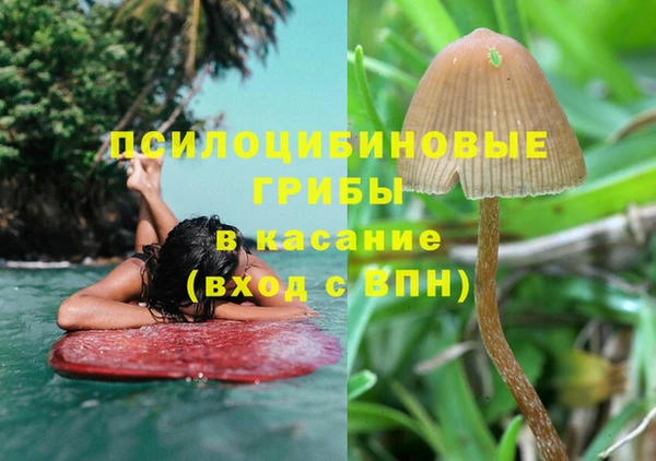 ГАЛЛЮЦИНОГЕННЫЕ ГРИБЫ Алексин
